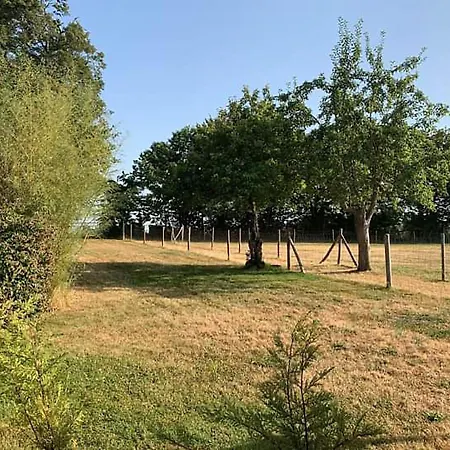 The Alpaca Couette-café Chalais (Dordogne)