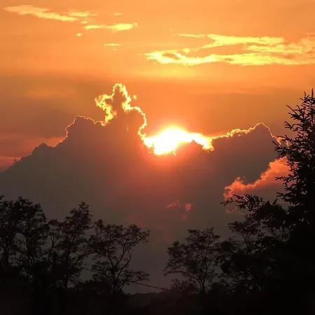 Bed & Breakfast The Alpaca