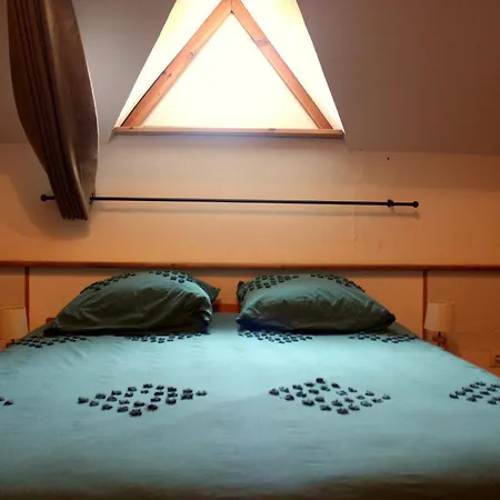 The Alpaca Bed and breakfast