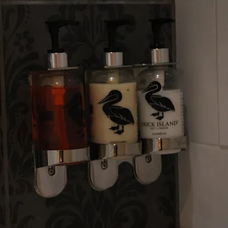 The Alpaca Bed & Breakfast Chalais (Dordogne)