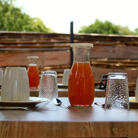 The Alpaca Couette-café Chalais (Dordogne)