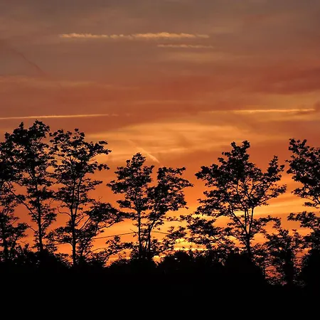 The Alpaca Bed & Breakfast 4*