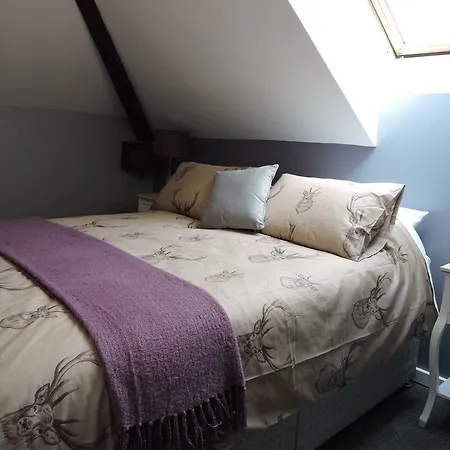 The Alpaca Bed & Breakfast 4*