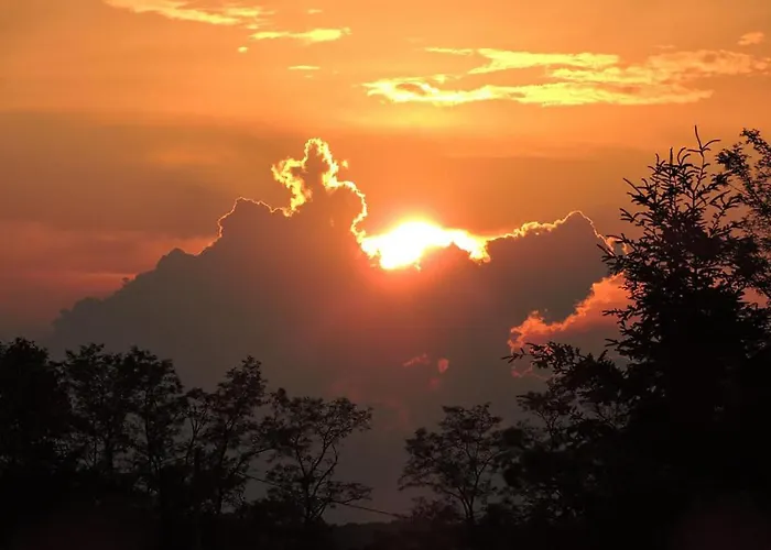 Bed & Breakfast The Alpaca