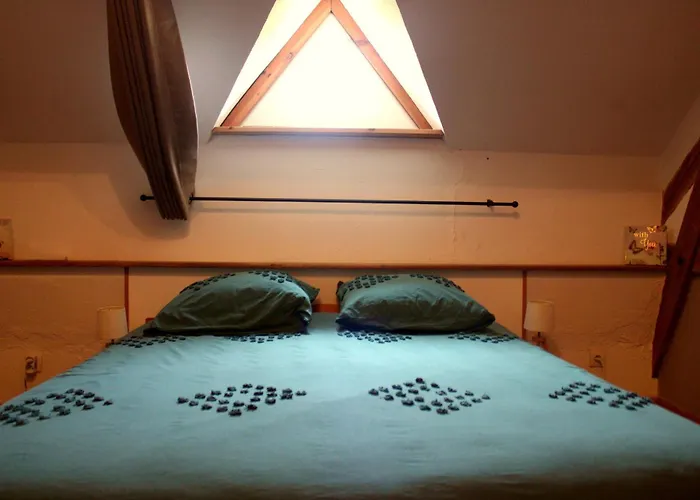 The Alpaca Bed & Breakfast