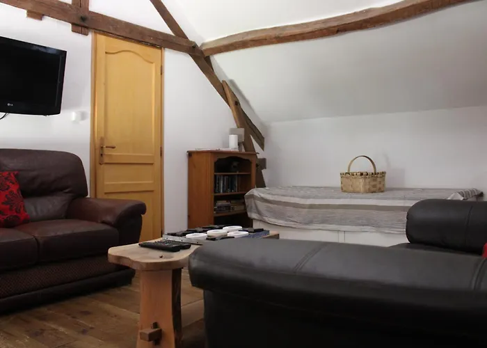 The Alpaca Chalais (Dordogne)