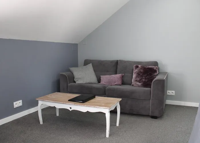 The Alpaca Chalais (Dordogne)