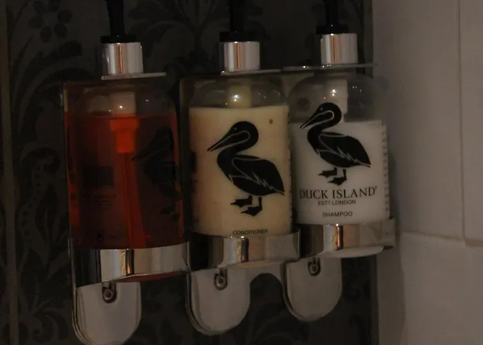 The Alpaca Bed and Breakfast Chalais (Dordogne)