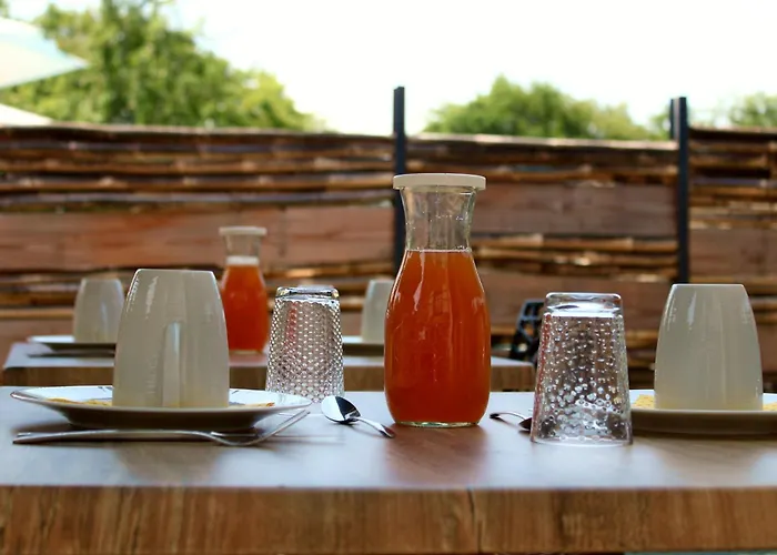 The Alpaca Bed & Breakfast Chalais (Dordogne)