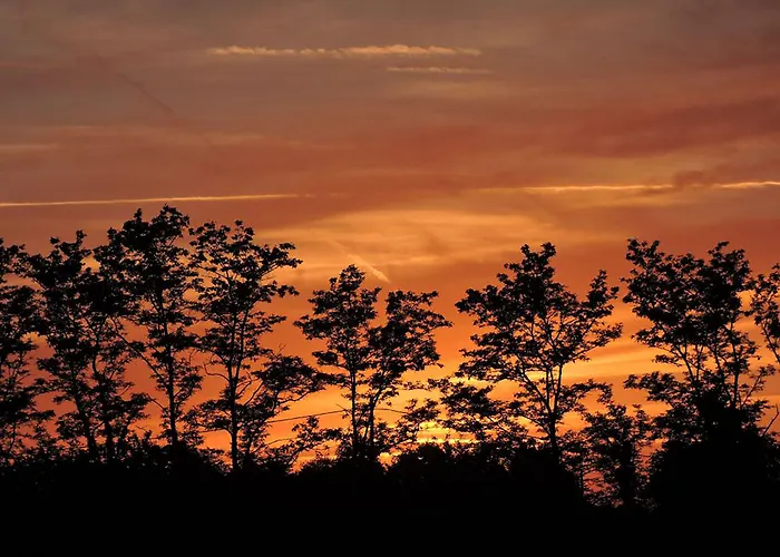 The Alpaca Bed and Breakfast 4*