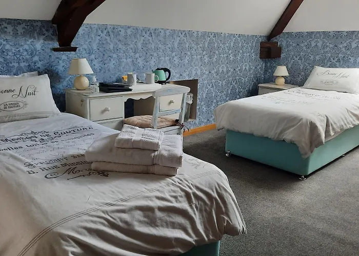 The Alpaca Chalais (Dordogne)